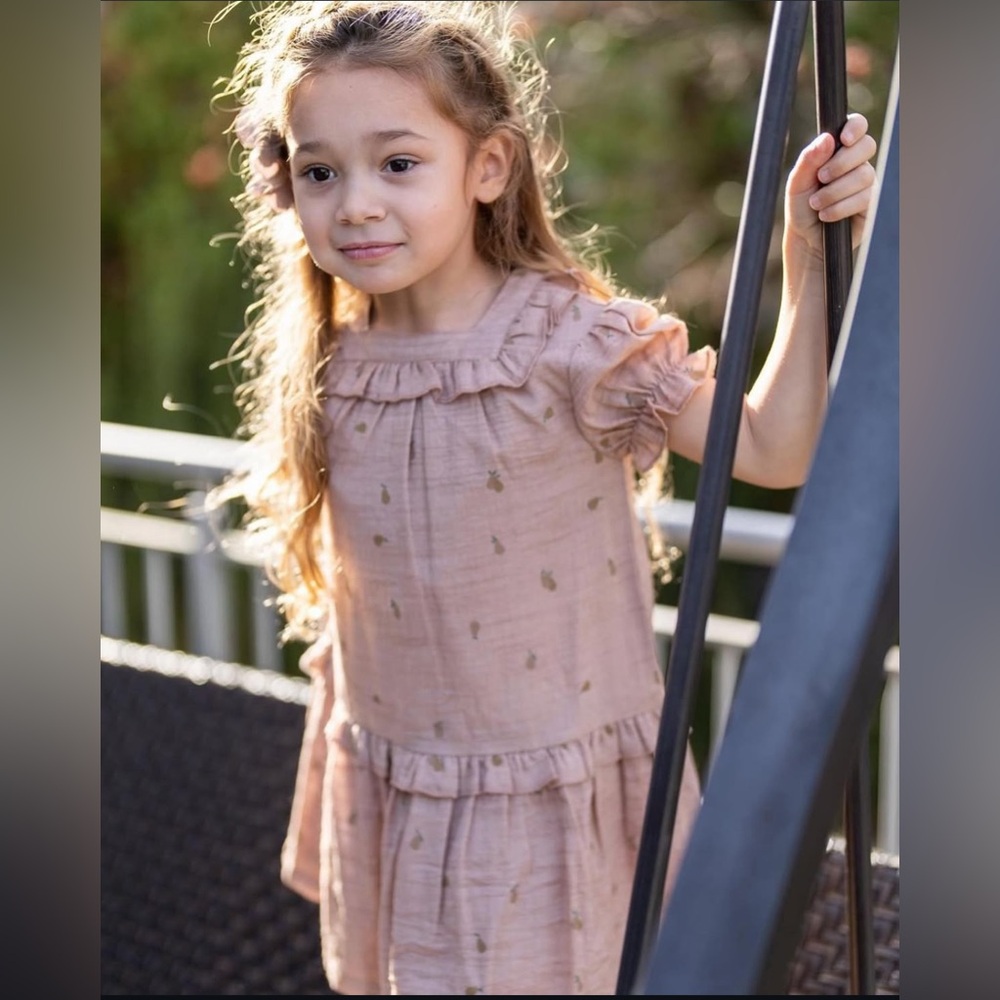 Hopscotch Toddler Girl Dress 2T Mauve Woven Cotton Cottagecore Neutral Ruffle